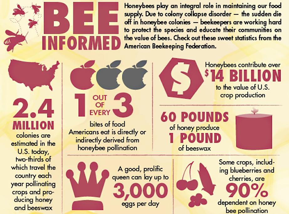 Bee Graphic (Social)