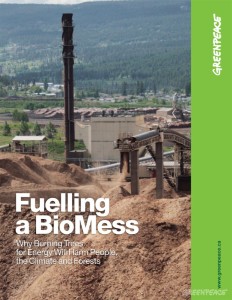 biomass-cover-en